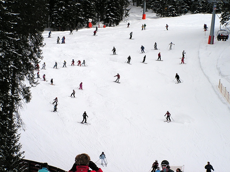 Włochy, 2006.02.19-25 103.jpg - A tu bardziej zatłoczony fragment. Widać uczące się "kaczorki". Widać także uczącą się Julię. :)